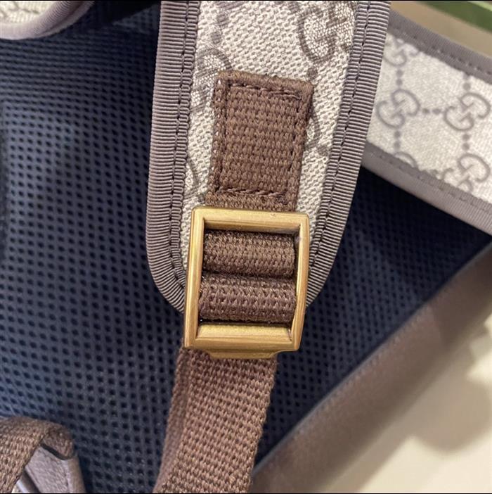 202529C547965N164020379