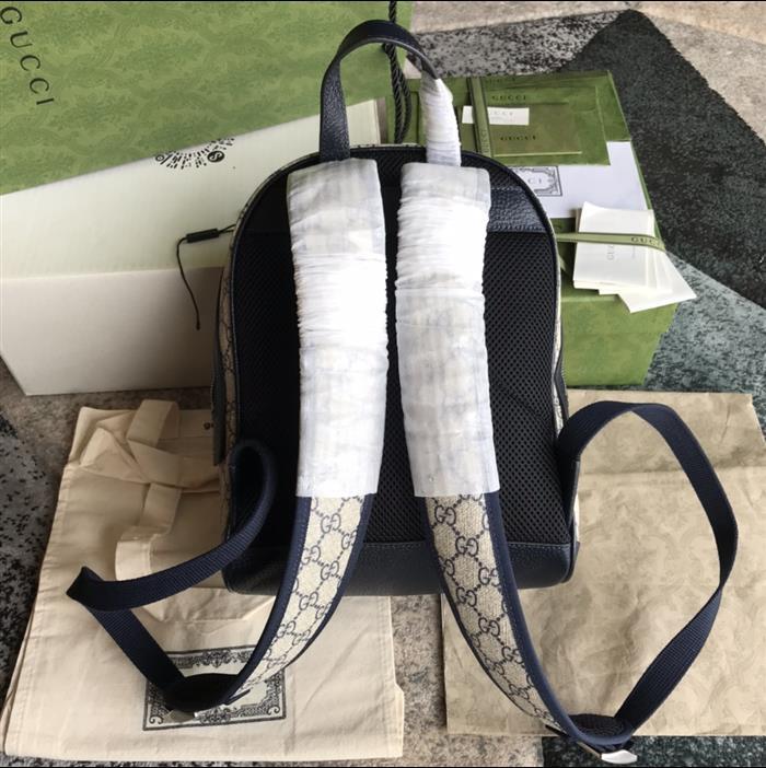 202529C547965N164020629