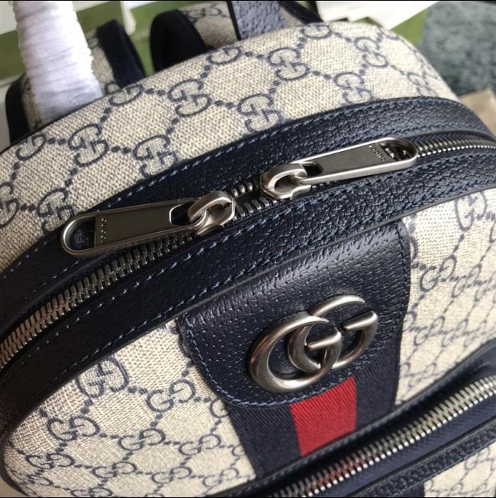 202529C547965N164020645