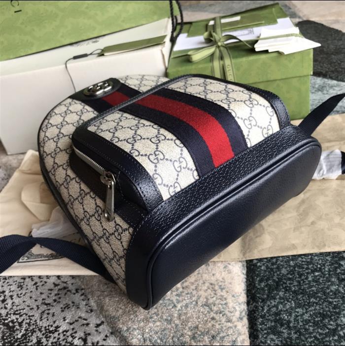 202529C547965N164020660