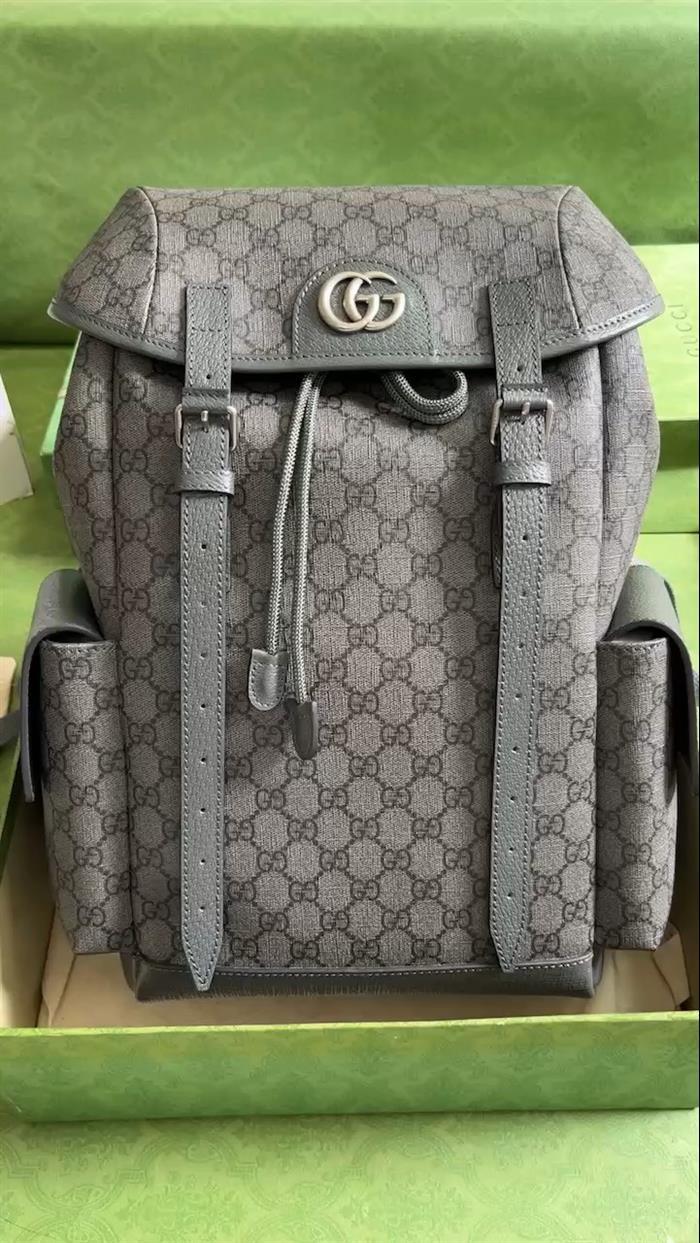 202529C598140N164034457