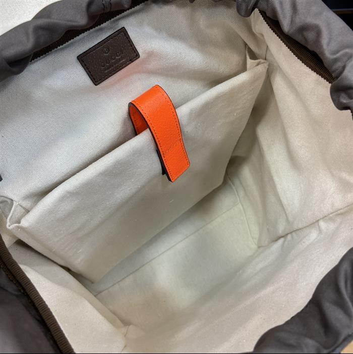 202529C598140N164035184