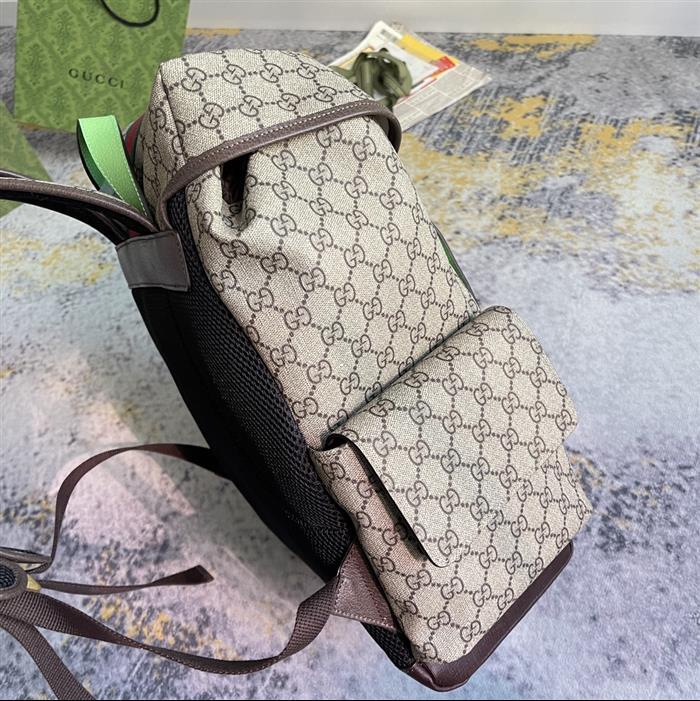 202529C598140N164035216