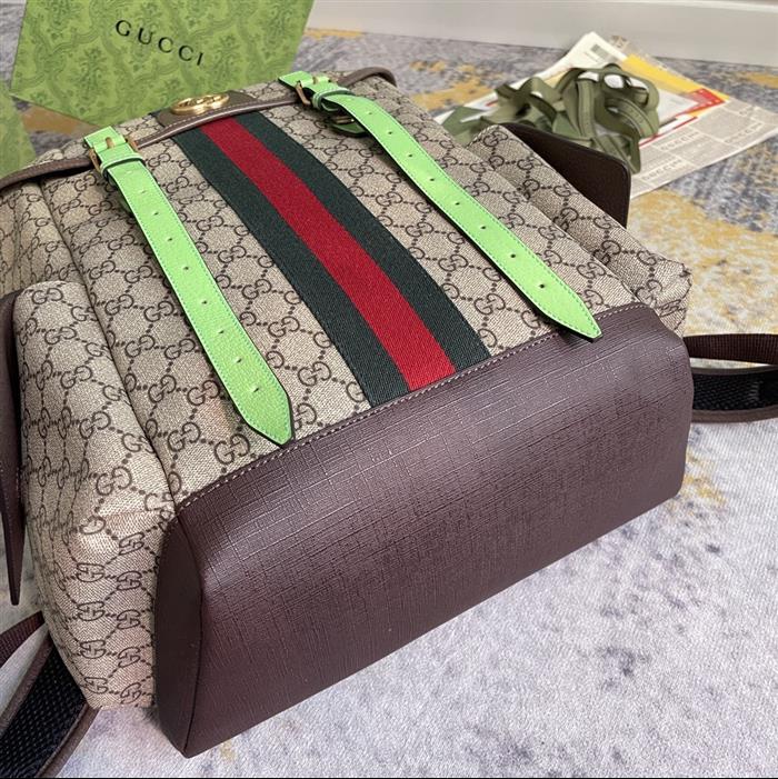 202529C598140N164035309