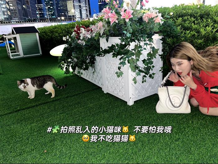 2025210C751518N202127710