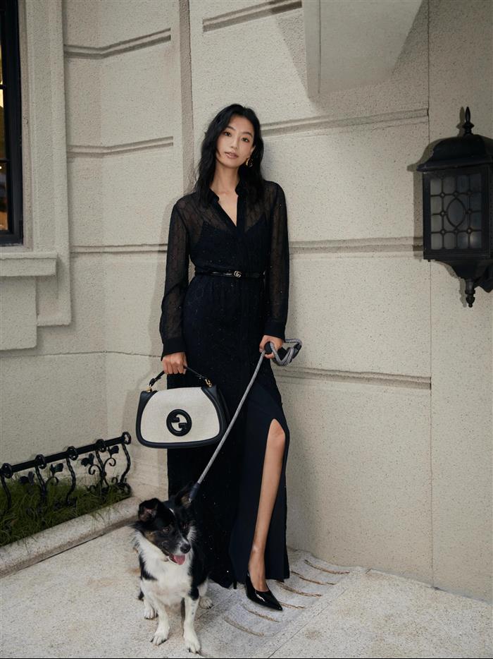 2025210C815714N202136196