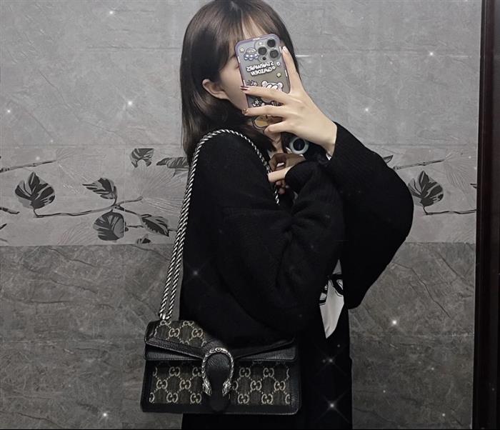 202529C499623N164045103