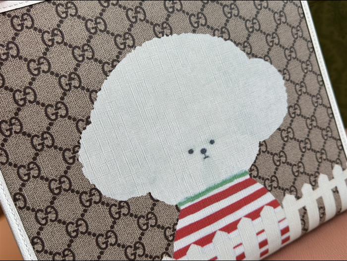 202529C605614N16414551