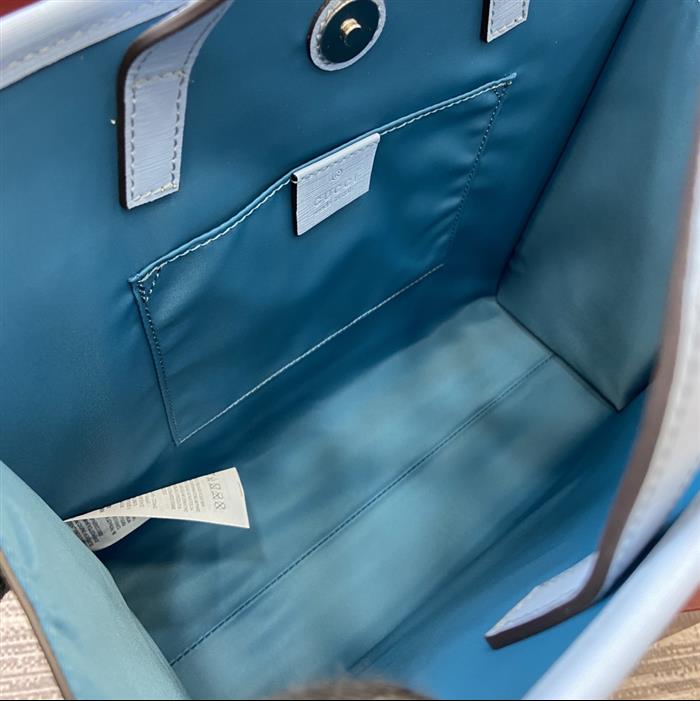 202529C605614N16415199