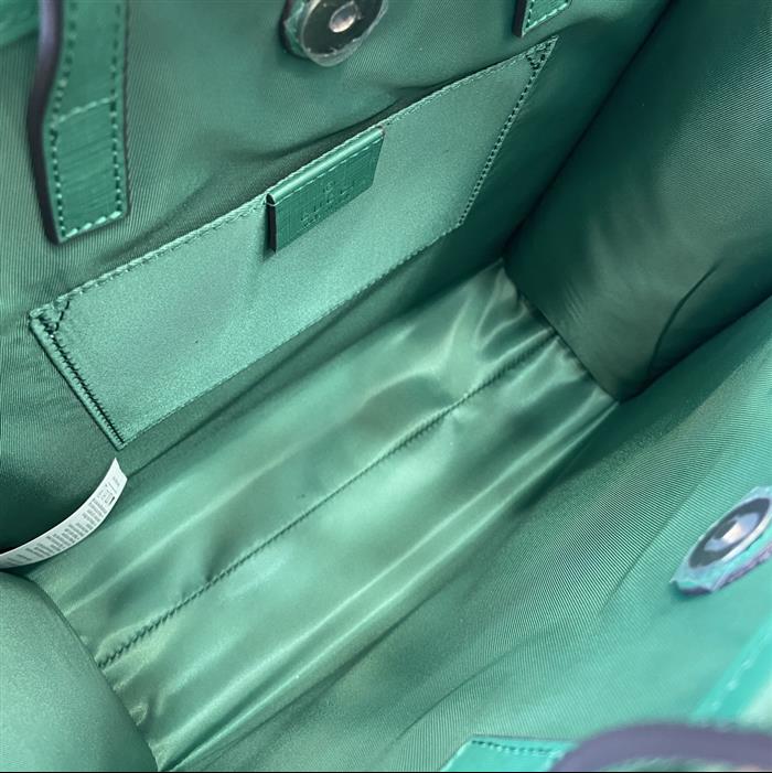 202529C605614N1641556