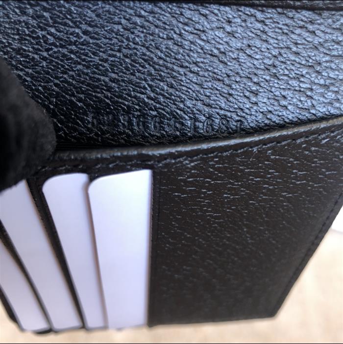 202529C523664N164053129