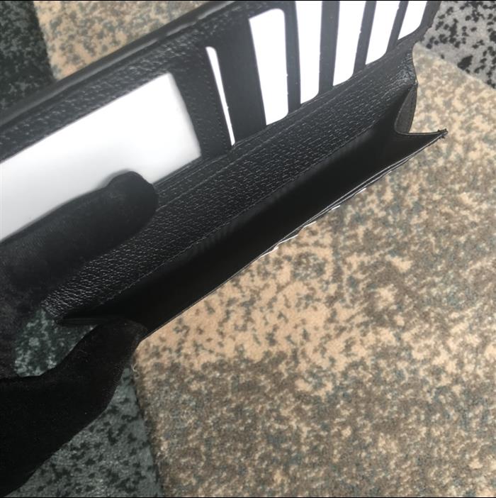 202529C523668N164053578