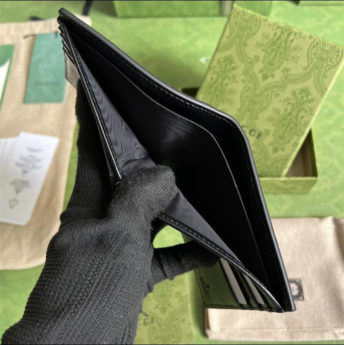 202529C625562N164054143