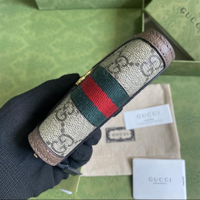 202529C658552N164054629