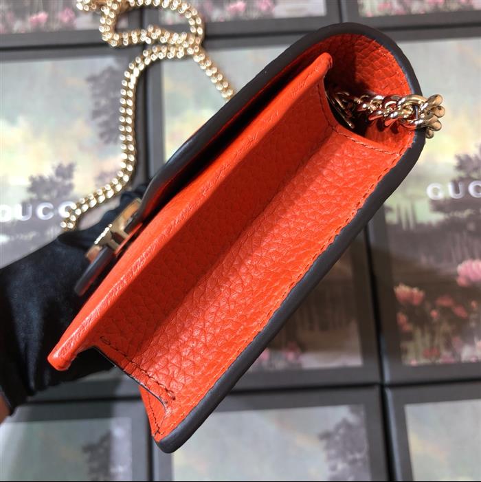 202529C510314N164048626