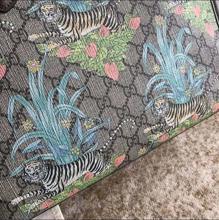 202529C659983N164052708