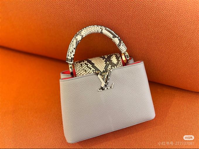 2025224N8206894845235