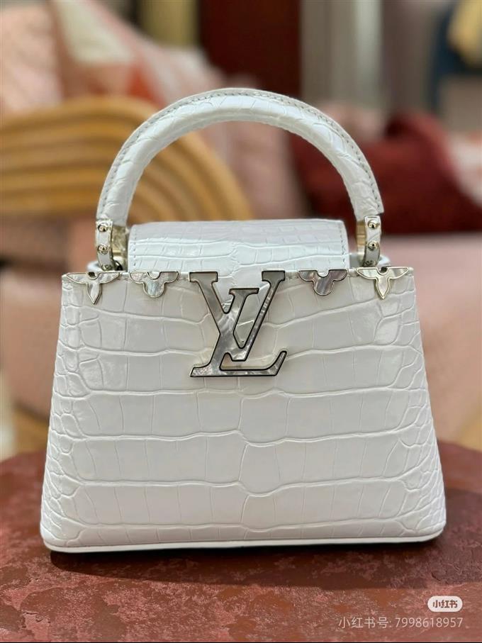 2025224N8615310325454