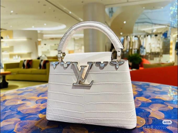 2025224N8615310325486