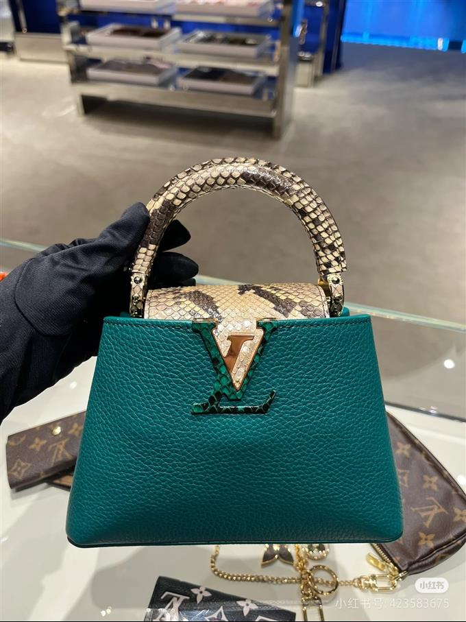 2025224M8074194810205