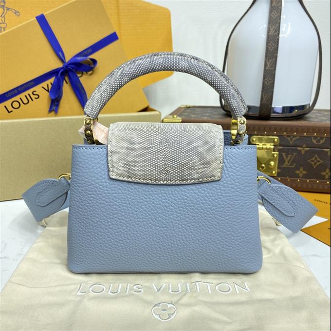 2025224M809319485511