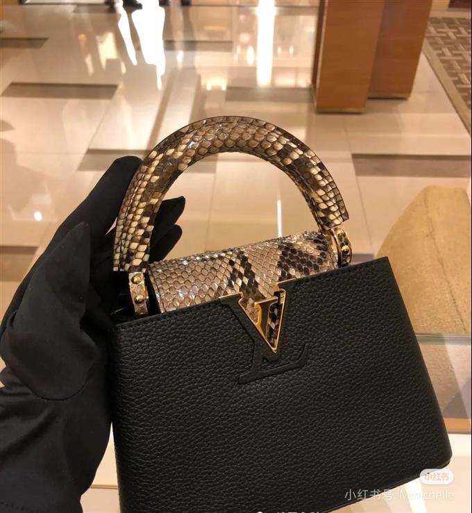 2025224M8140894818247