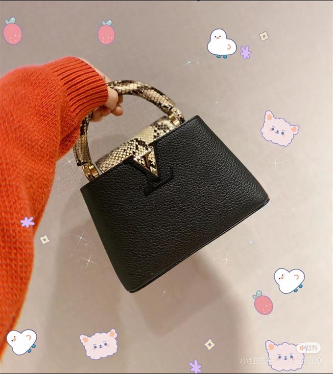 2025224M8140894818295