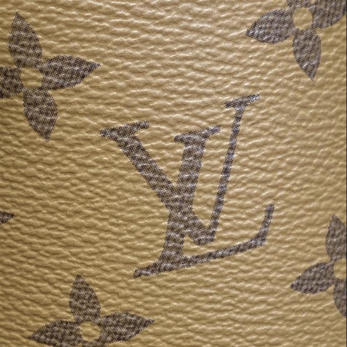 2025224M43986223647856