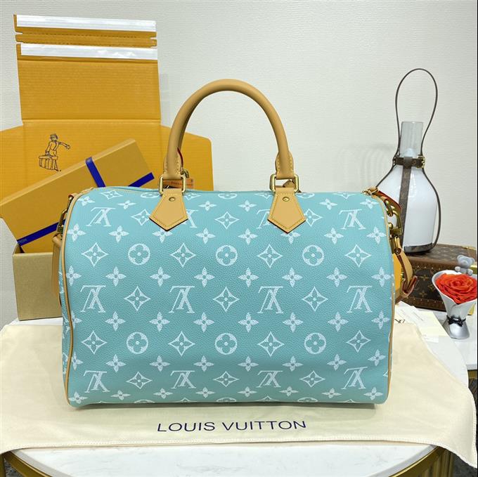 2025224M2441910951903